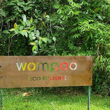 Wompoo Eco Retreat Bed & Breakfast Cow Bay Exterior photo