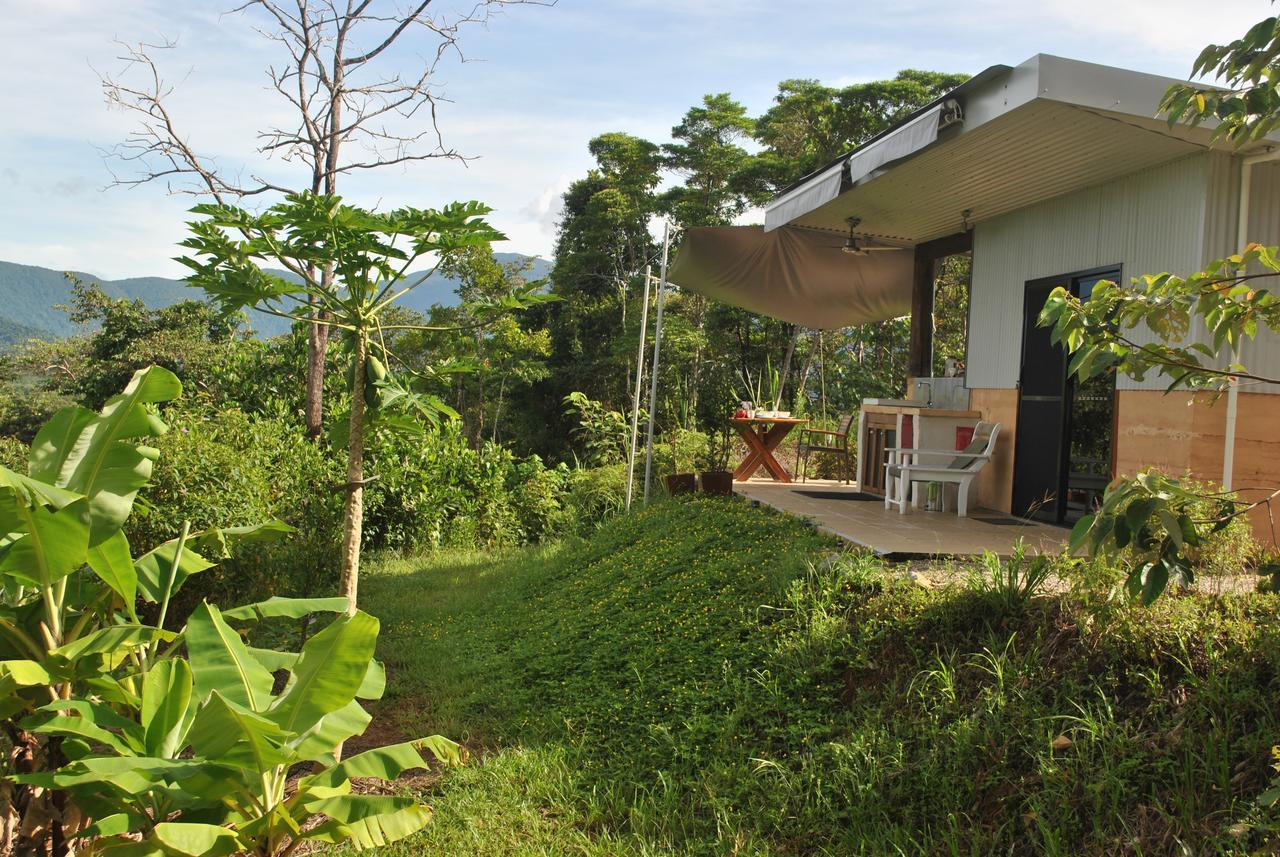 Wompoo Eco Retreat Bed & Breakfast Cow Bay Exterior photo