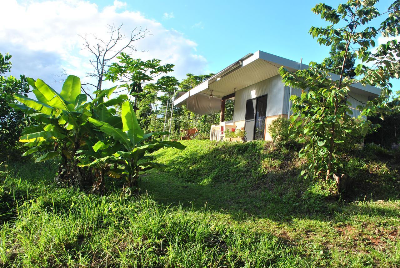 Wompoo Eco Retreat Bed & Breakfast Cow Bay Exterior photo